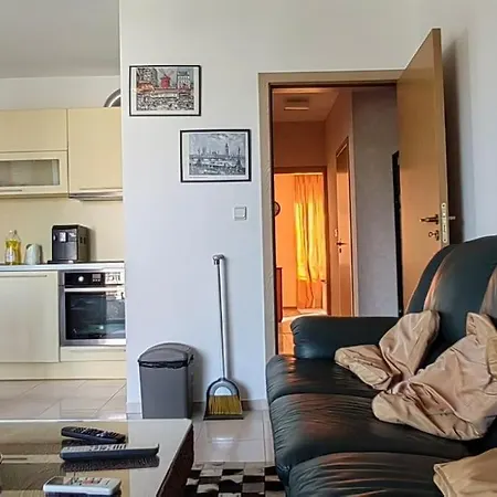 луксозен срещу какао 阳光海滩